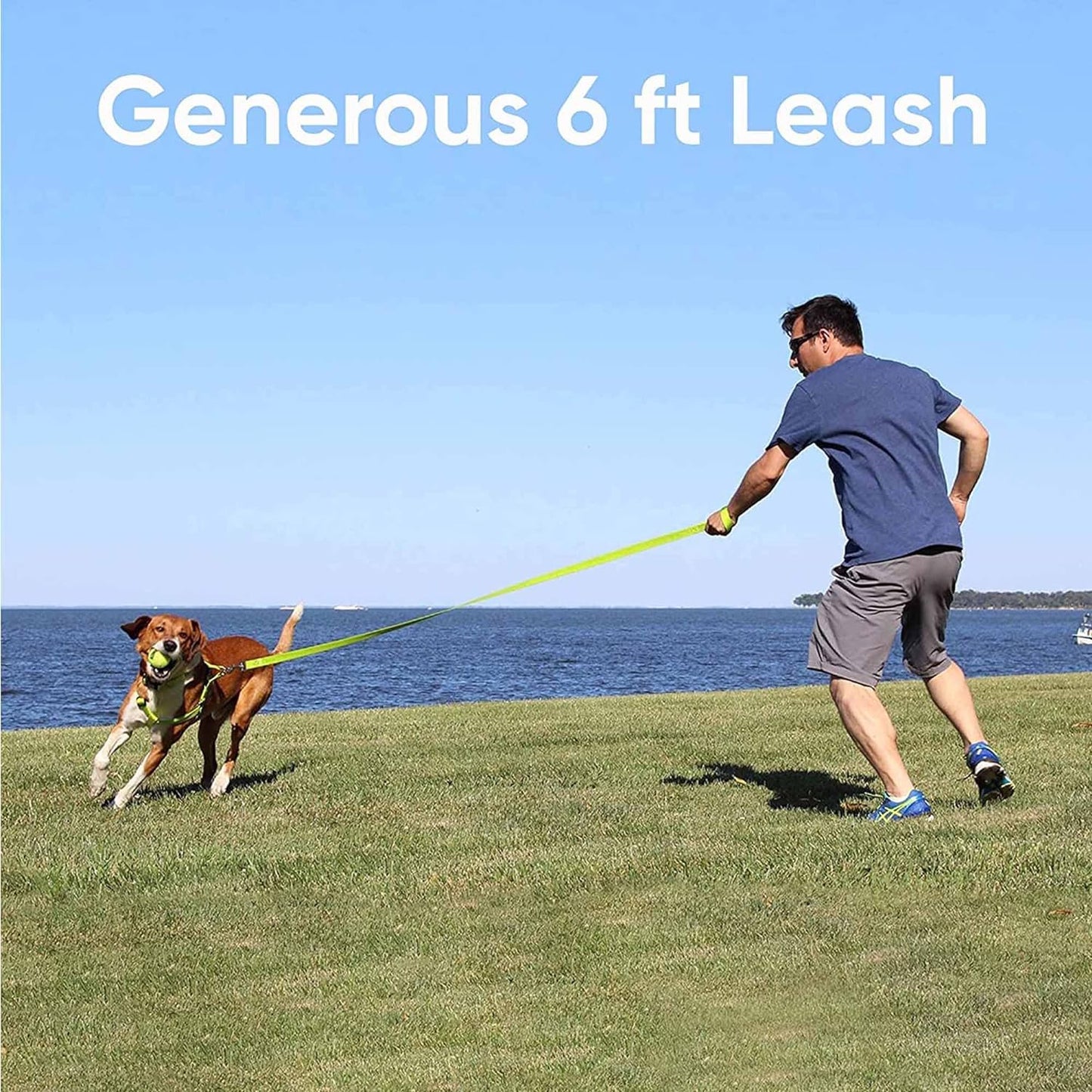 Custom Embroidered 6 Ft Green Nylon Dog Leash for Small Breeds - XS/S with Name and Phone Number