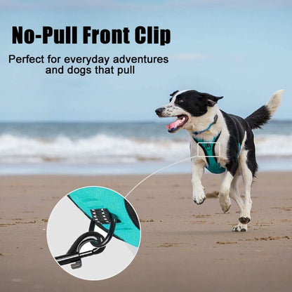 Reflective No-Pull Dog Harness - Comfortable Adjustable Vest with Front and Back Leash Attachments and Control Handle for Small, Medium, and Large Dogs (Mint Blue, Medium)