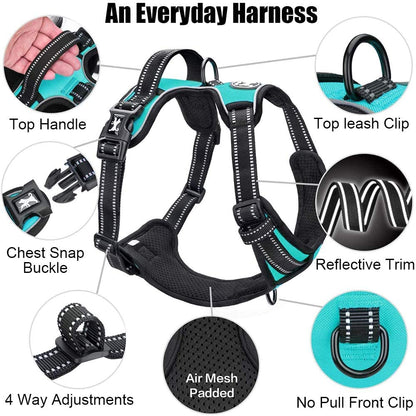 Reflective No-Pull Dog Harness - Comfortable Adjustable Vest with Front and Back Leash Attachments and Control Handle for Small, Medium, and Large Dogs (Mint Blue, Medium)