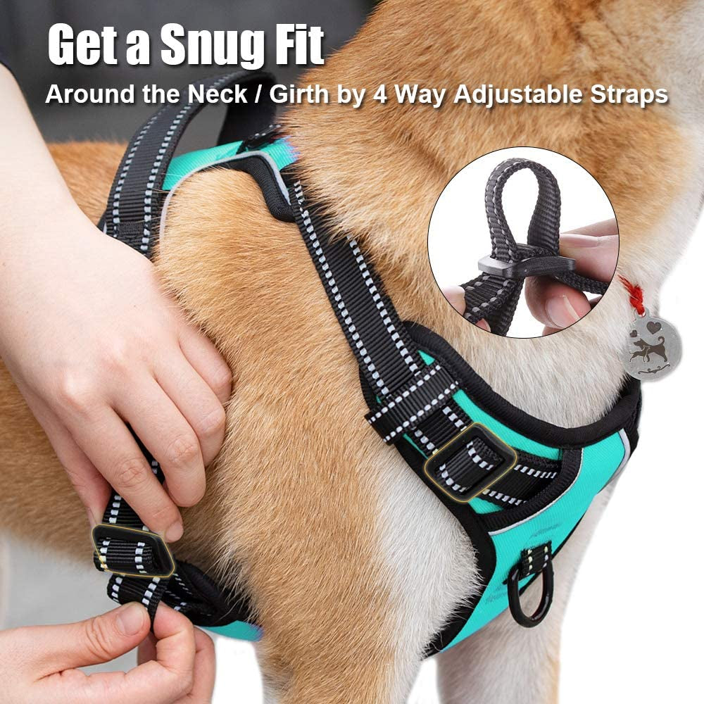 Reflective No-Pull Dog Harness - Comfortable Adjustable Vest with Front and Back Leash Attachments and Control Handle for Small, Medium, and Large Dogs (Mint Blue, Medium)