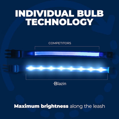 Illuminate Your Dog's Safety: Original USB Rechargeable LED Collar - Waterproof & 1,000 Feet Visibility for All Sizes - USA Made