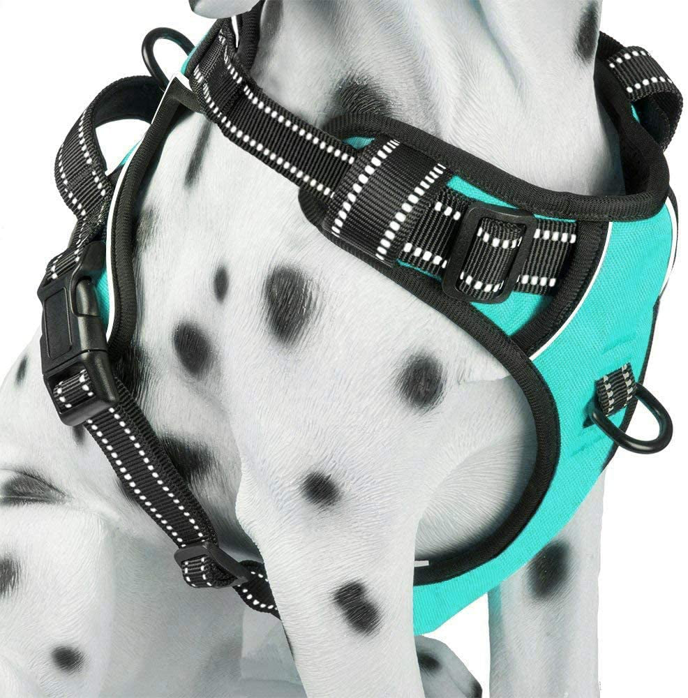Reflective No-Pull Dog Harness - Comfortable Adjustable Vest with Front and Back Leash Attachments and Control Handle for Small, Medium, and Large Dogs (Mint Blue, Medium)