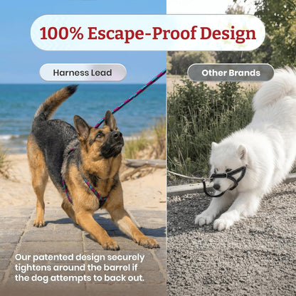 No Pull Dog Harness and Leash Set, anti Pull Dog Harness for All Breeds and Sizes, One-Piece Cushioned Rope Design Safely Prevents Escaping and Pulling (Small/Medium, Orange/Reflective)