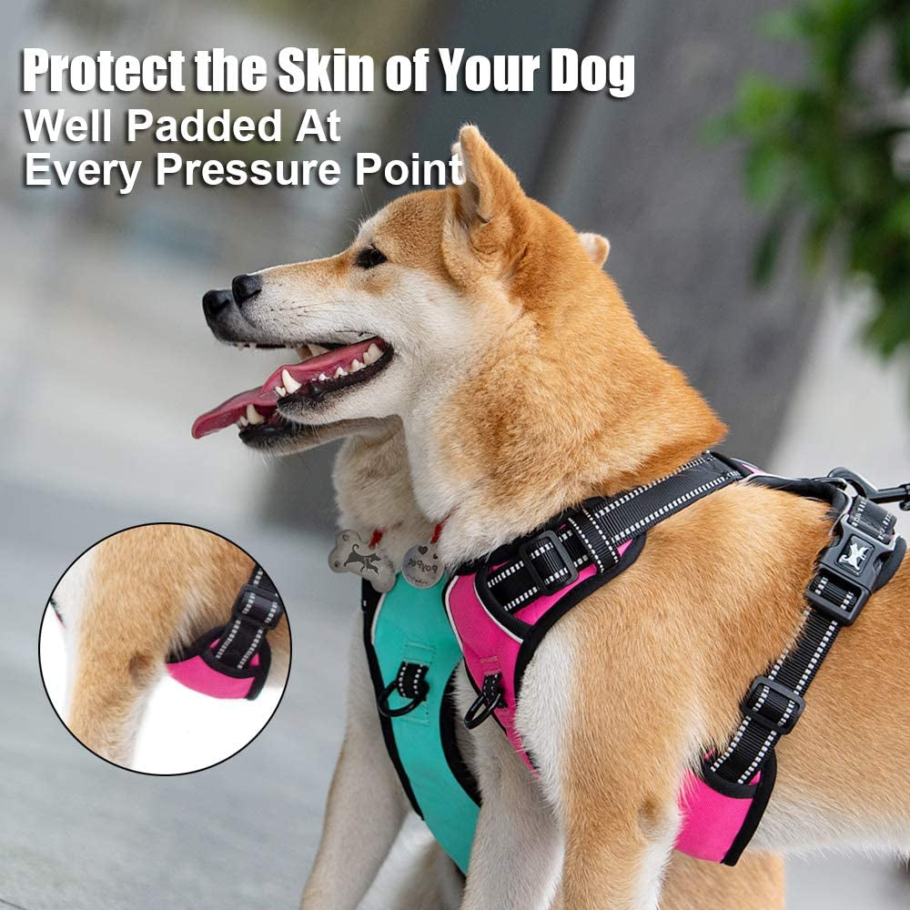 Reflective No-Pull Dog Harness - Comfortable Adjustable Vest with Front and Back Leash Attachments and Control Handle for Small, Medium, and Large Dogs (Mint Blue, Medium)