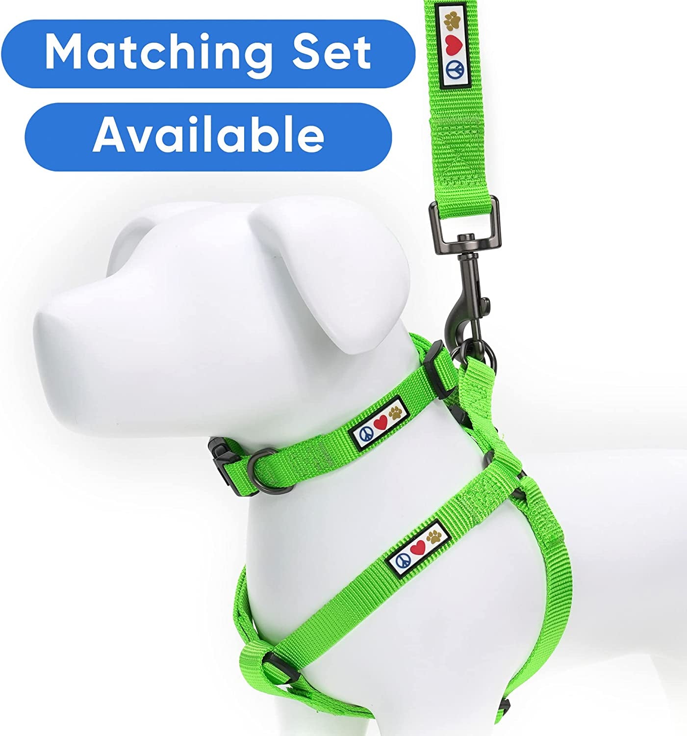 Custom Embroidered 6 Ft Green Nylon Dog Leash for Small Breeds - XS/S with Name and Phone Number