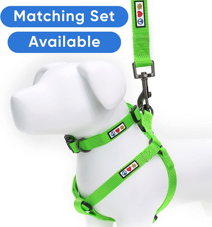 Custom Embroidered 6 Ft Green Nylon Dog Leash for Small Breeds - XS/S with Name and Phone Number