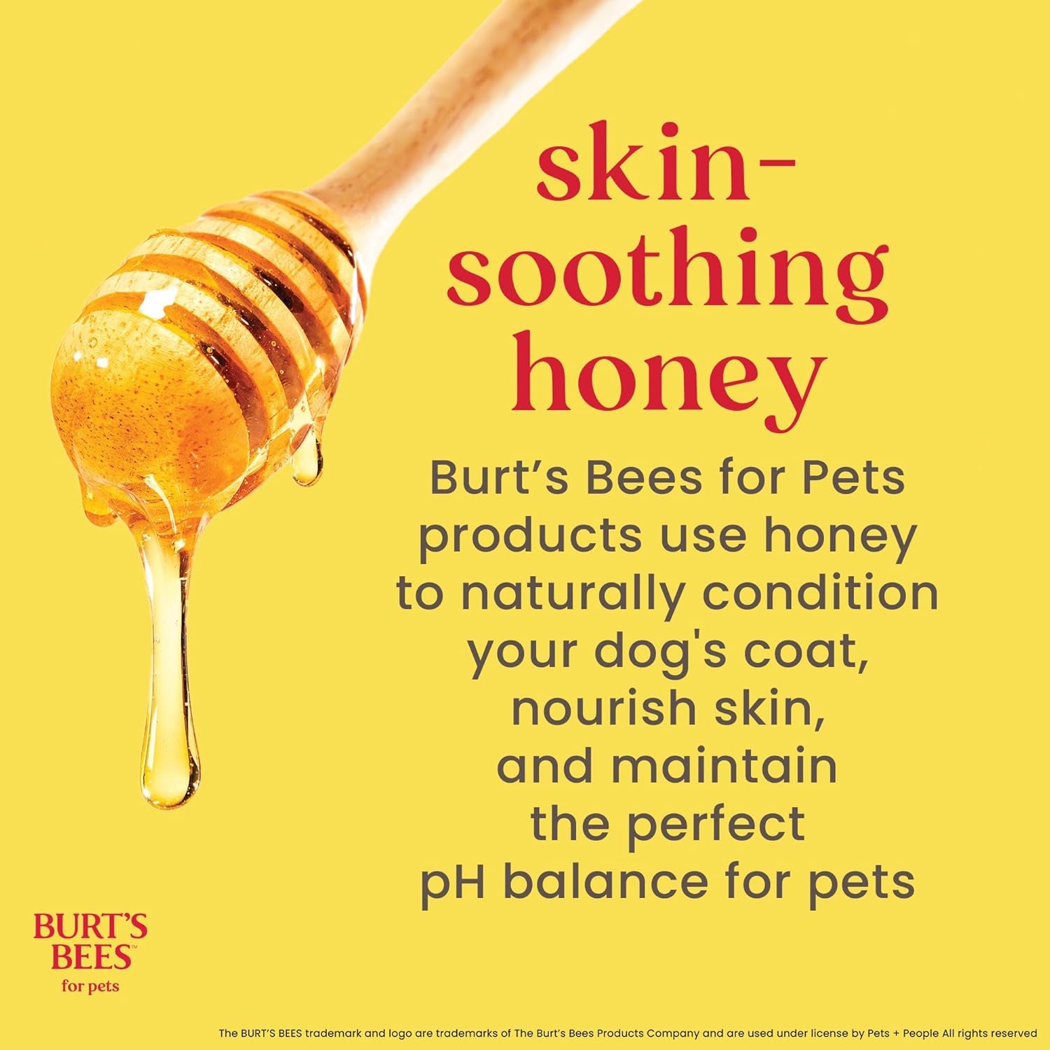 Honey Multipurpose Dog Grooming Wipes, Gentle Hypoallergenic Spot Cleaning Sheets, Ph Balanced Natural Origin Formula for Paws, Face and Butt, 50 Count | Honey Formula, Hypoallergenic Spot-Cleaning, Ph Balanced, Paws Face and Butt