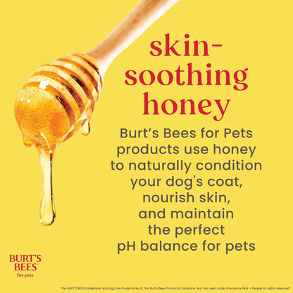 Honey Multipurpose Dog Grooming Wipes, Gentle Hypoallergenic Spot Cleaning Sheets, Ph Balanced Natural Origin Formula for Paws, Face and Butt, 50 Count | Honey Formula, Hypoallergenic Spot-Cleaning, Ph Balanced, Paws Face and Butt