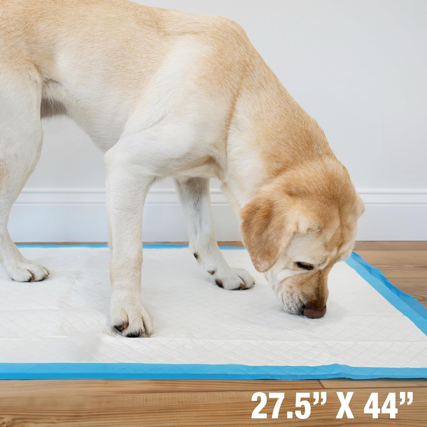 Wee-Wee Superior Performance Gigantic Dog Pee Pads, 18 Count | Puppy & Dog Potty Training Pads, All Day Floor Protection, Housebreaking Pet Supplies, Leak-Proof Puppy Pads, 27.5" X 44"